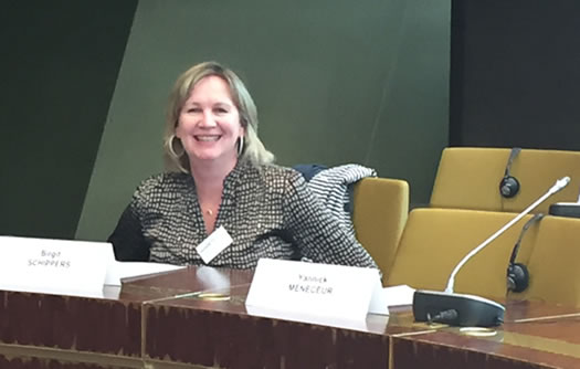 College lecturer Dr Birgit Schippers addressed a recent meeting of the Council of Europe Committee on Political Affairs and Democracy in Strasbourg where she spoke on the need for democratic governance of artificial intelligence (AI)