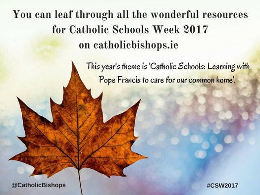 Catholic Schools Week - Resources @ catholicbishops.ie